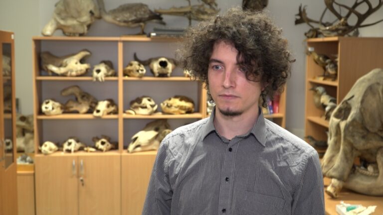 Nowe technologie przyspieszają odkrycia w paleontologii. Dzięki modelowaniu i drukowi 3D udało się dokładnie zbadać żuchwę prassaka z Grenlandii
