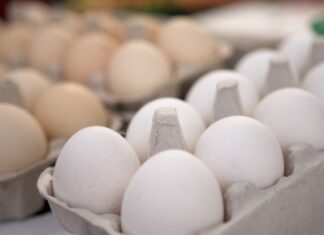 70 proc. Polaków woli kupować jaja z wolnego wybiegu. Na preferencje konsumentów odpowiadają największe firmy z sektora spożywczego, w tym Lubella ​[DEPESZA]