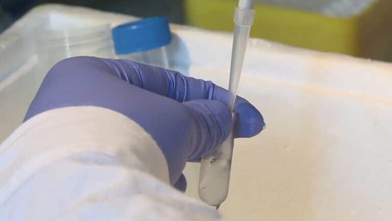 Nowe badania amerykańskiej agencji rządowej potwierdzają skuteczność szczepionek mRNA w realnym użyciu. Nawet 80 proc. ochrony już po pierwszej dawce