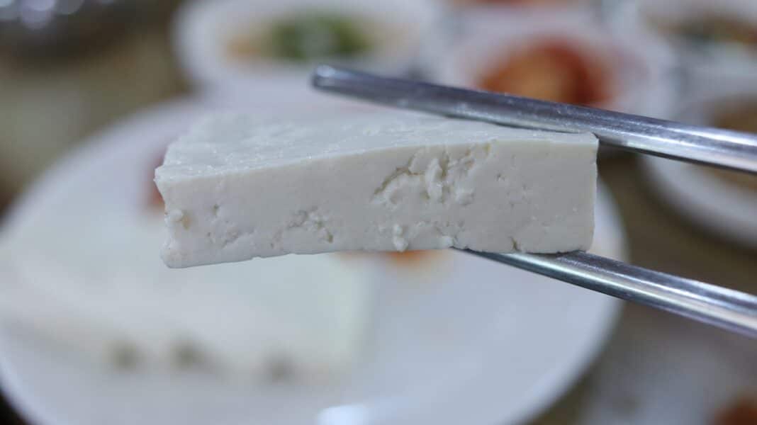 tofu
