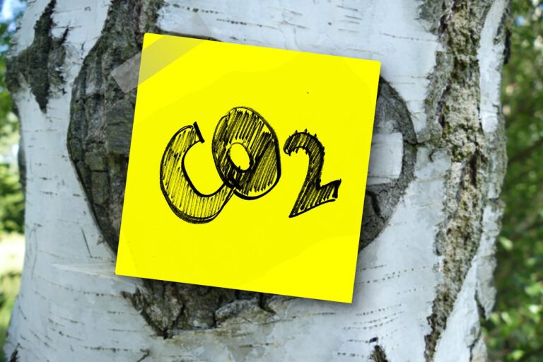 Przez zmiany klimatu najbardziej ucierpią biedniejsze kraje