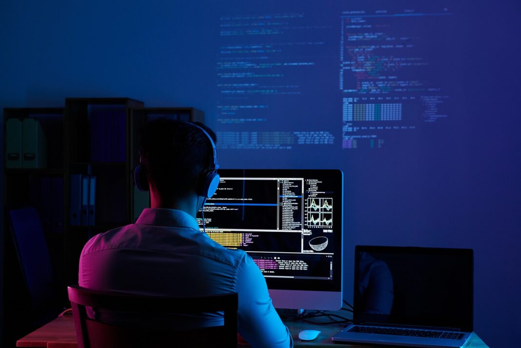 programista pracownik