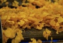 Zakład Frito Lay w Grodzisku Mazowieckim