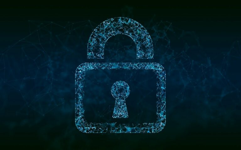 Polska 17. w Europie pod względem bezpieczeństwa cybernetycznego – liderzy to Malta i Cypr
