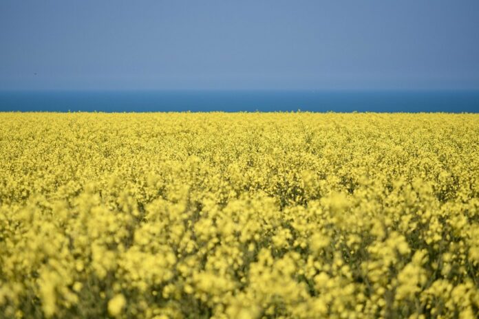 ukraina ukraina