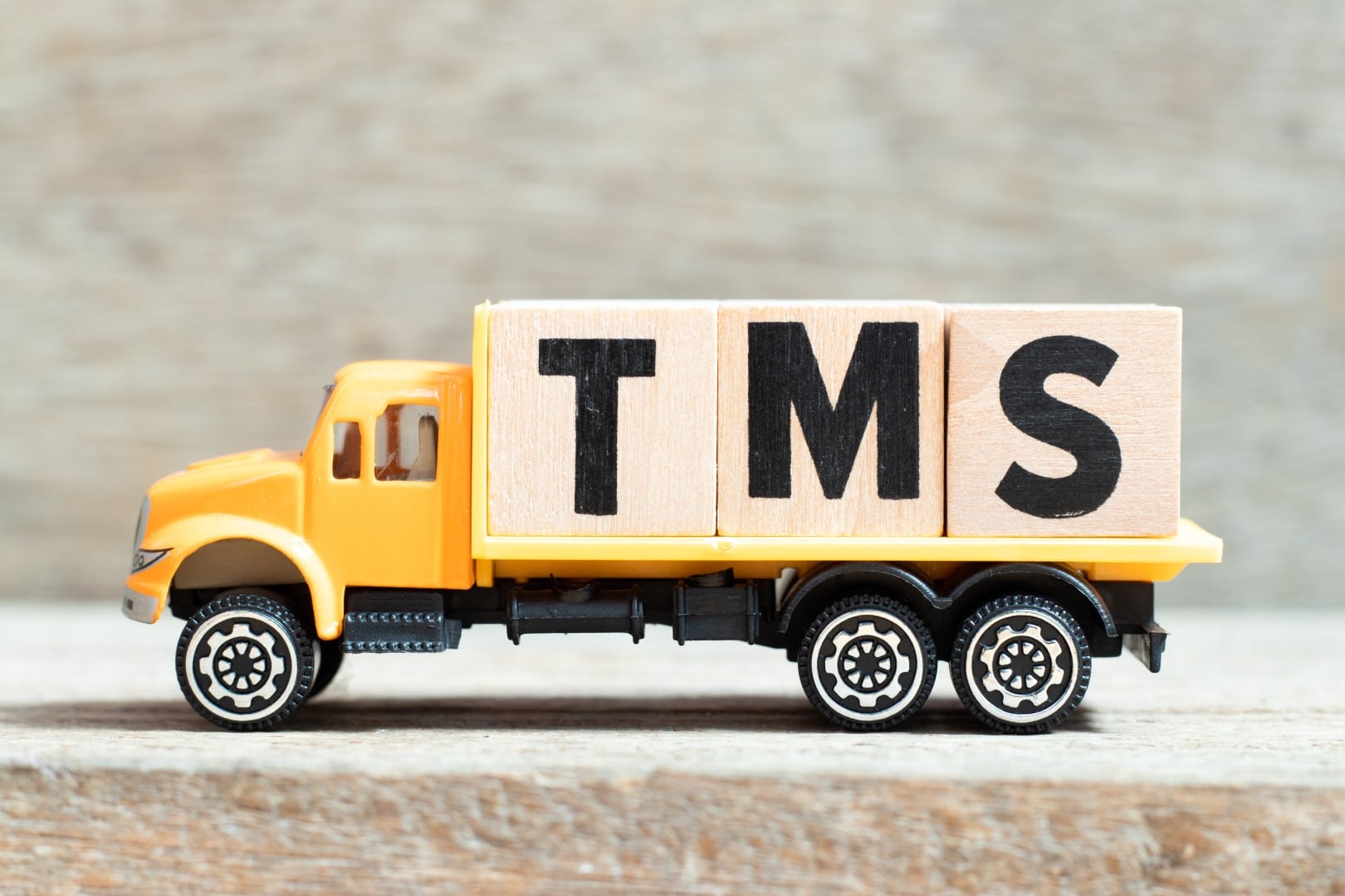 Systemy TMS