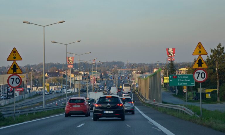 17% aut w Polsce nie wjedzie do stref czystego transportu