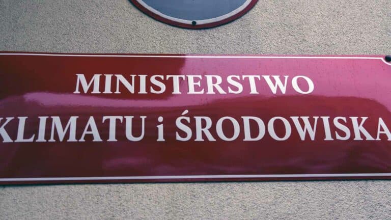 Przemysł drzewny popiera ministerialne plany ograniczania spalania drewna