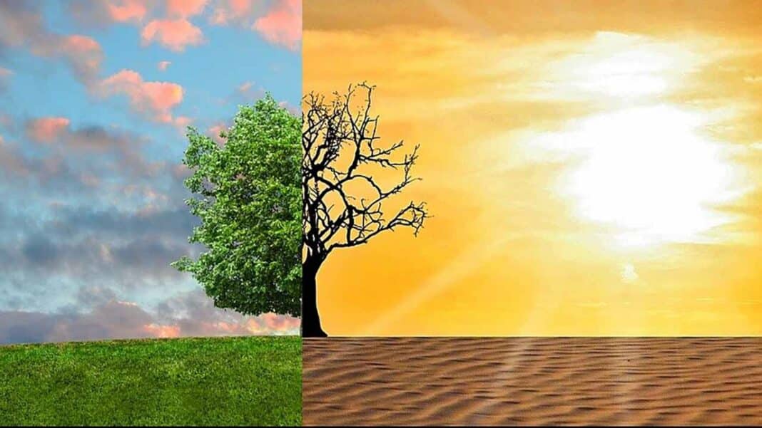zmiany klimatu