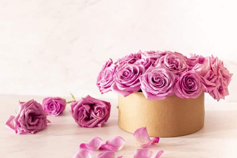 Flower Box – jak zrobić samemu?