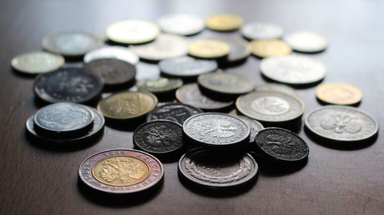 Deloitte: Rosnące koszty życia skłaniają Polaków do szukania oszczędności