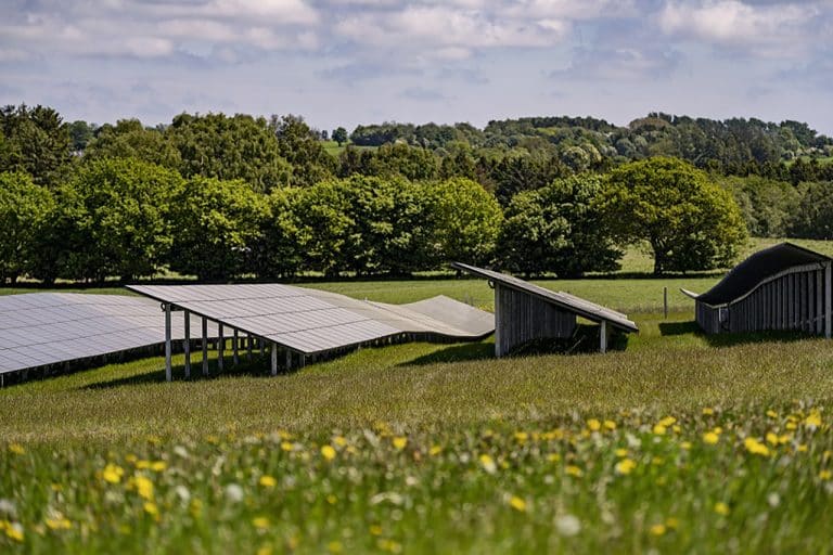 Better Energy ze wzrostem obrotów i 10 000 MW projektów w rozwoju na koniec 2022 r.