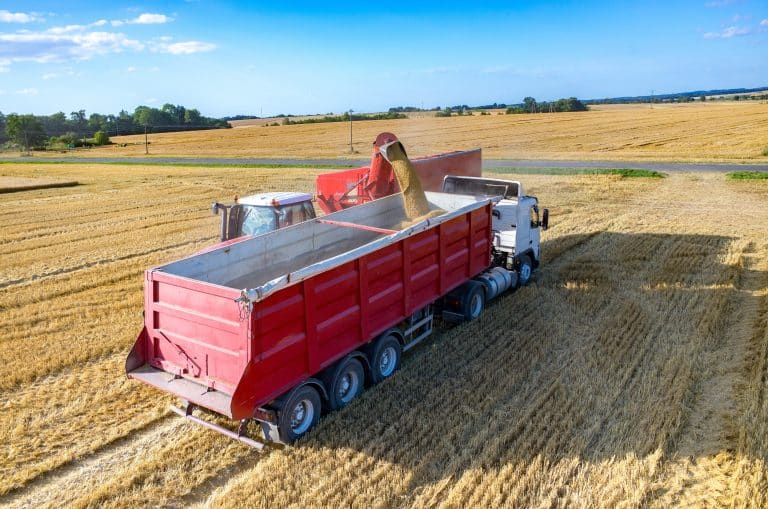 Ukraińska konkurencja rolna zagraża polskiej produkcji