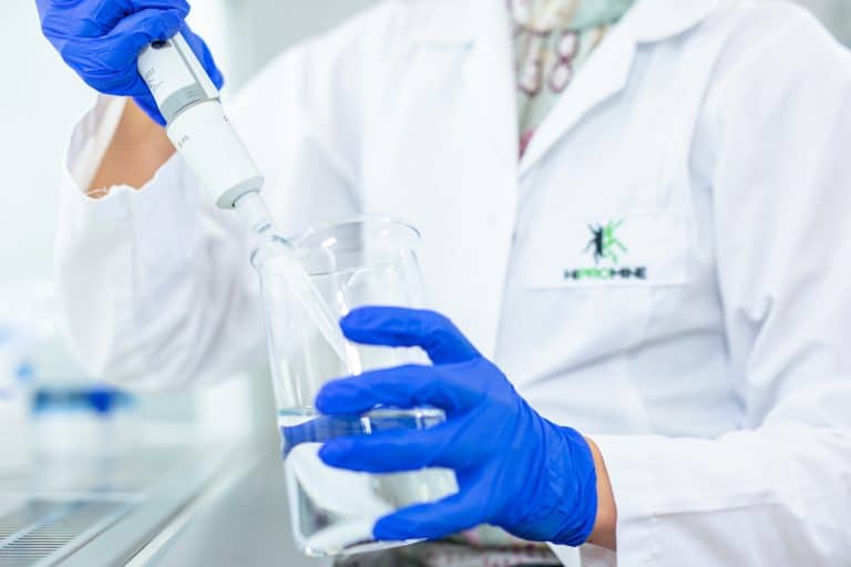 HiProMine: Nie będziemy produkować żywności z owadów. Nasz cel to komponenty pasz dla zwierząt