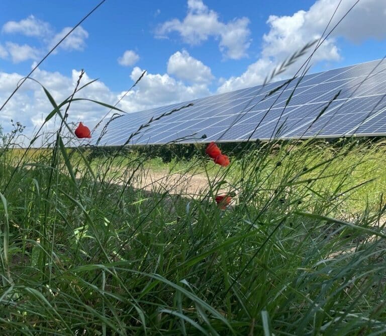 AP Pension przeznaczy 65 mln euro na farmy fotowoltaiczne Better Energy