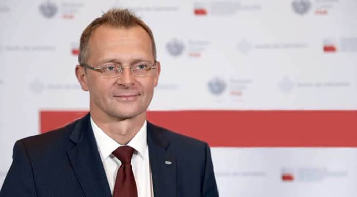 Hubert Nowak, Prezes Urzędu Zamówień Publicznych, Urząd Zamówień Publicznych