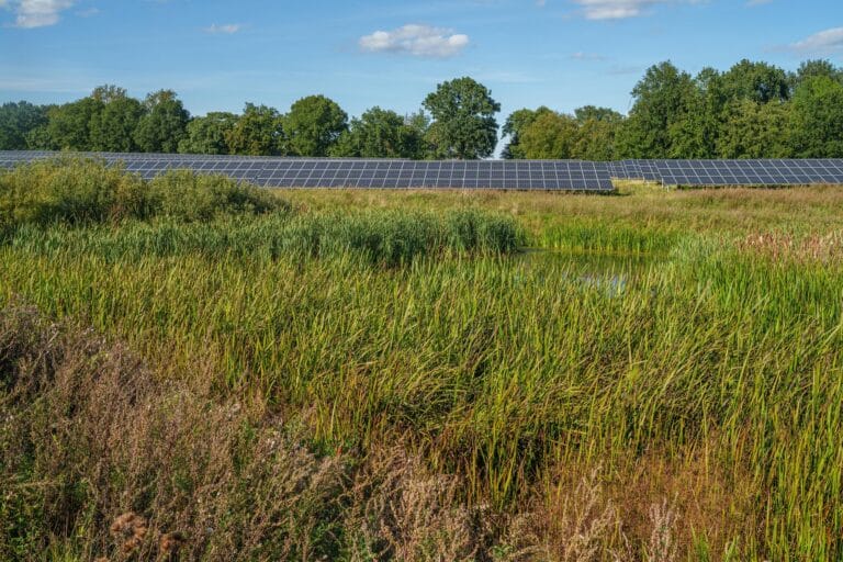 PCP inwestuje kolejne 175 mln euro w Better Energy