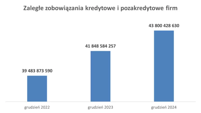 Rejestr Dłużników BIG InfoMonitor i baza BIK