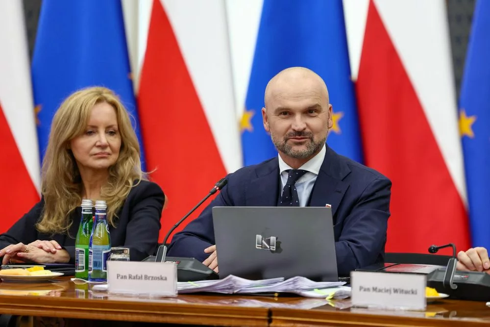 Rafał Brzoska, Pełnomocnik Przedsiębiorców ds. Deregulacji