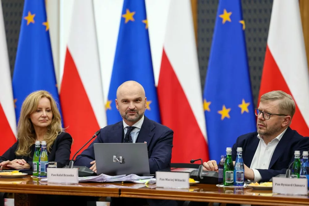 Rafał Brzoska, Pełnomocnik Przedsiębiorców ds. Deregulacji