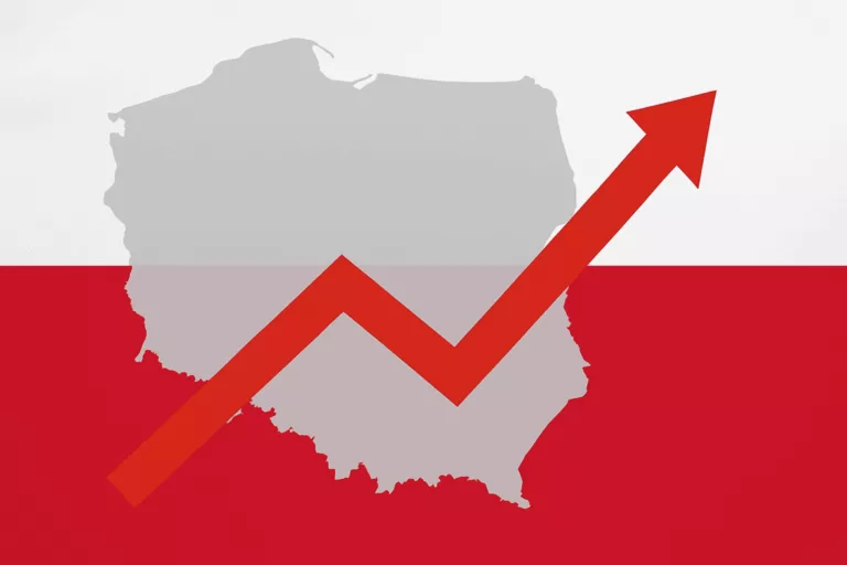 Fitch: deficyt budżetowy Polski może ponad dwukrotnie przekroczyć unijny limit