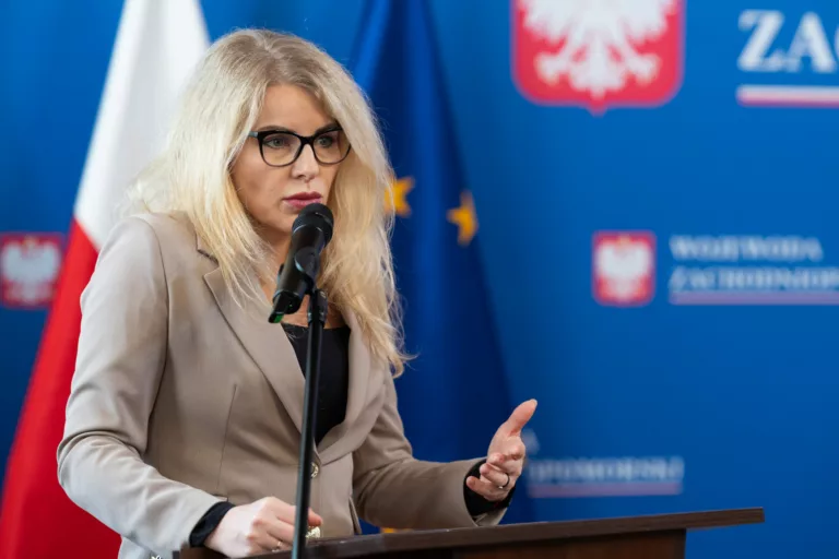 Zbyt surowe kary i niejasne zasady. Rzecznik MŚP krytykuje projekt ustawy o danych