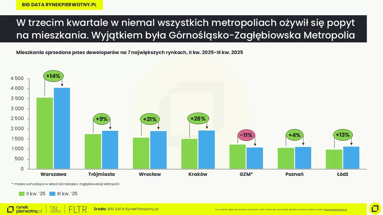 Raport BIG DATA-III kw. 2025-sprzedaż