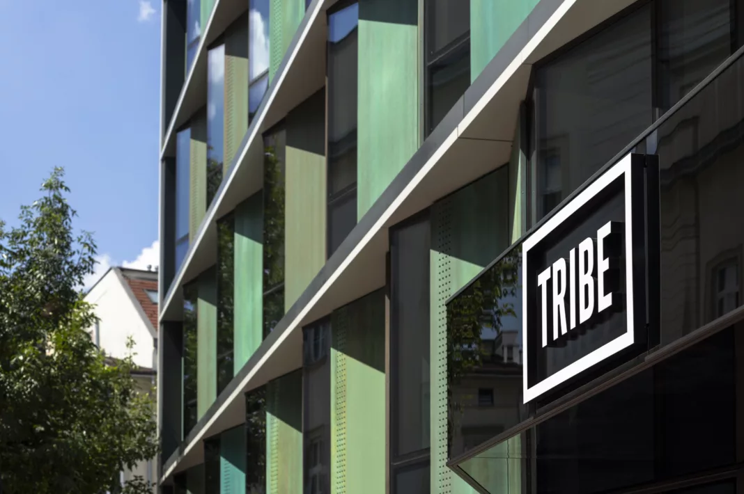 TRIBE