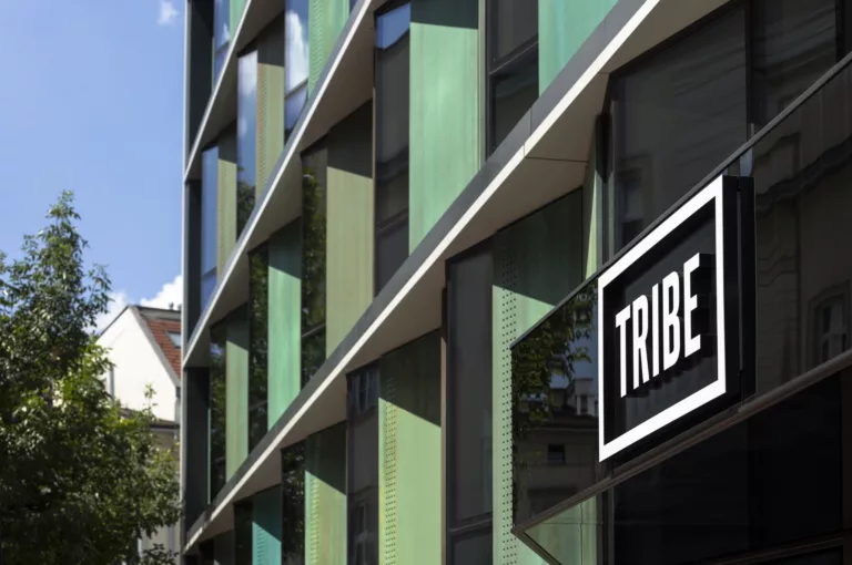 TRIBE uruchamia projekt edukacyjny dla studentów ASP we Wrocławiu