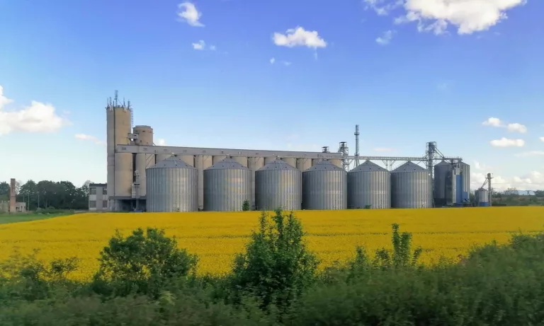 Botanika Farm podsumowuje I kw. 2026 r. – odpalenie zakładu w Mietkowie z pełną mocą oraz plany na nowe inwestycje