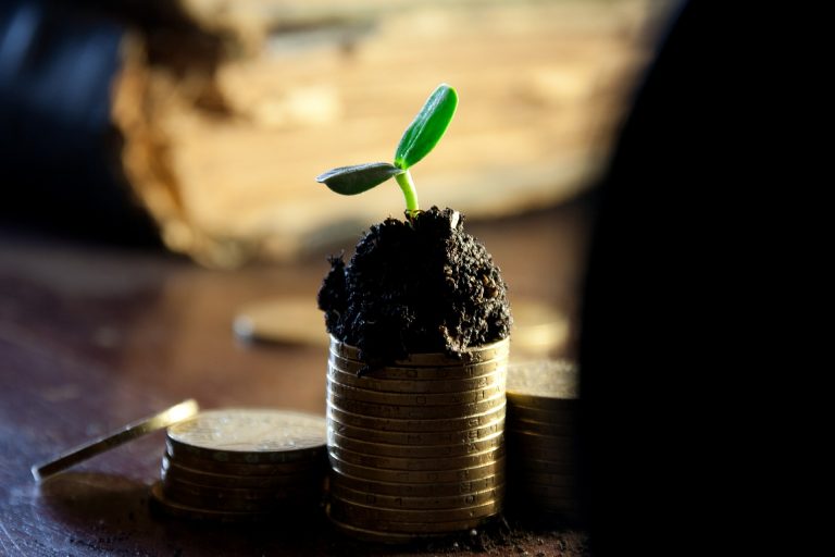 SpeedUp Venture Capital Group zainwestowała w sześć nowych spółek